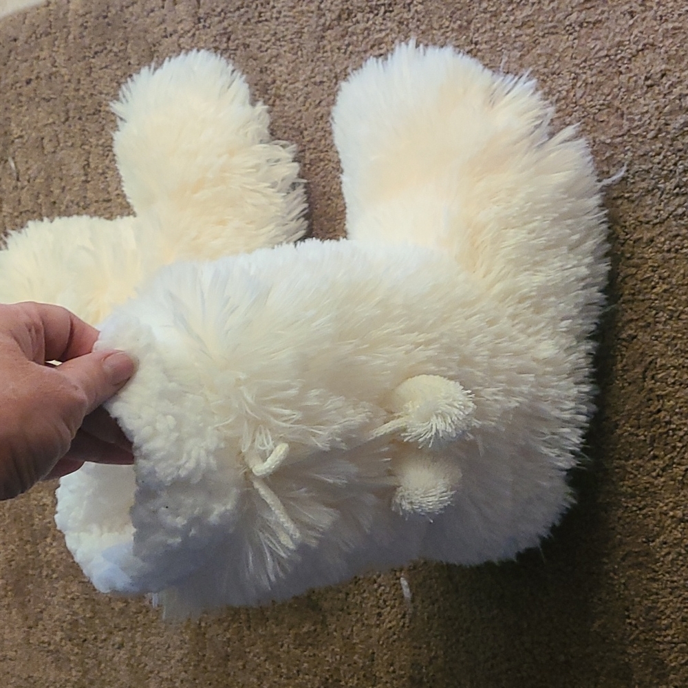 Express slippers